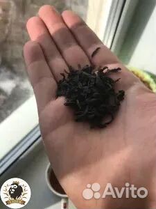 Чай Гордость Цейлона оптом