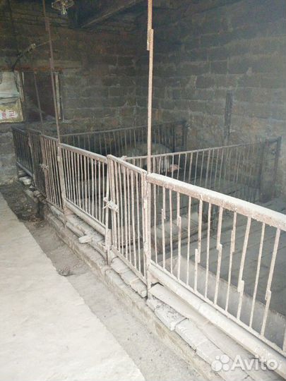 Кормушки клетки для домашних животных