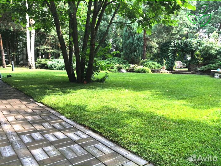 Рулонный газон. Укладка газона