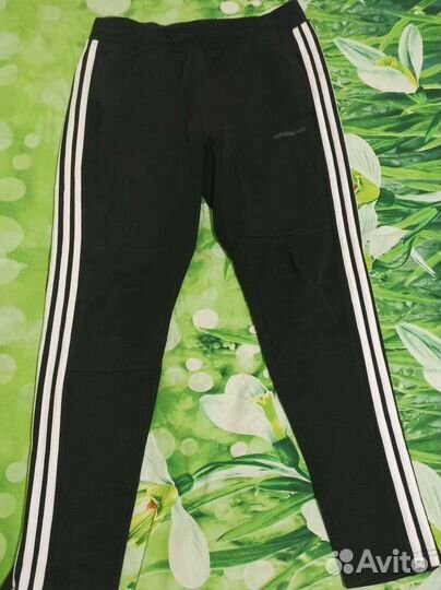 Спортивные штаны adidas neo originals