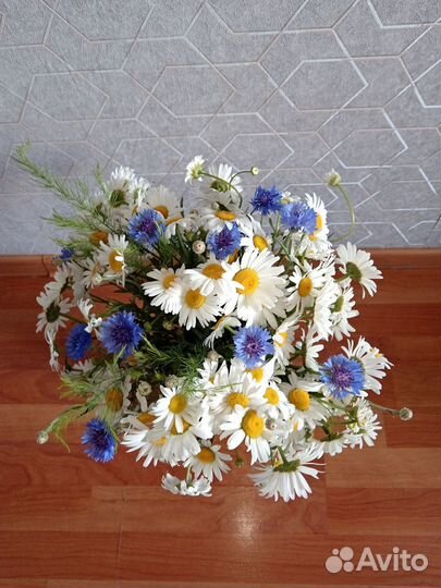 Букет ромашек