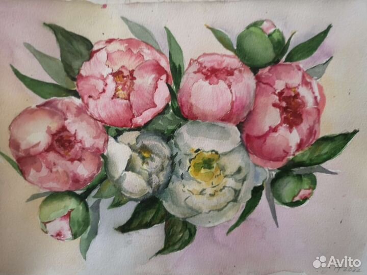 Акварель. Букет пионов