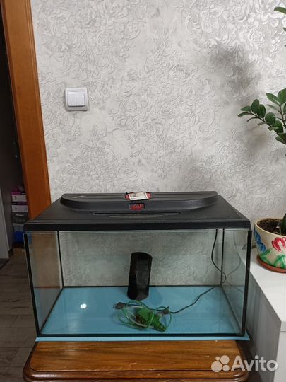 Аквариум