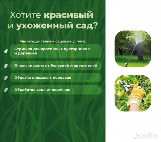 Обрезка деревьев, стрижка, обработка от болезней