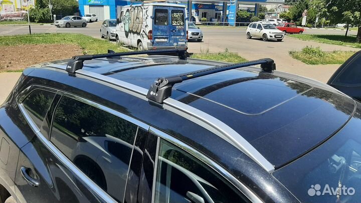 Багажник на крышу exeed (Эксид), Turtle