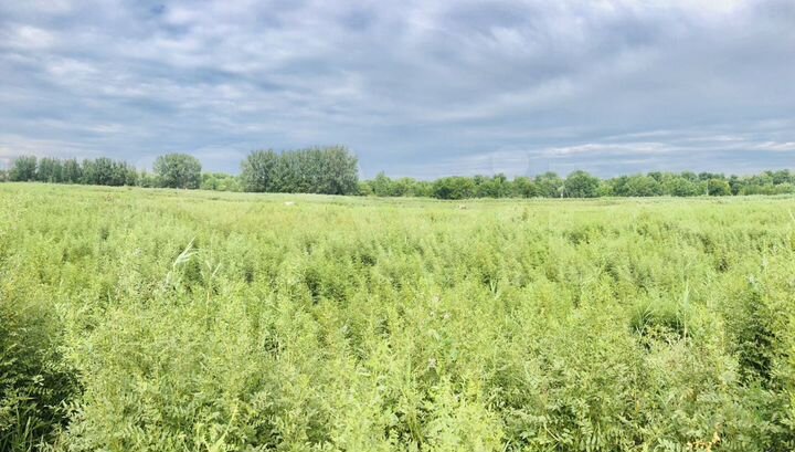 Участок 7 сот. (ИЖС)