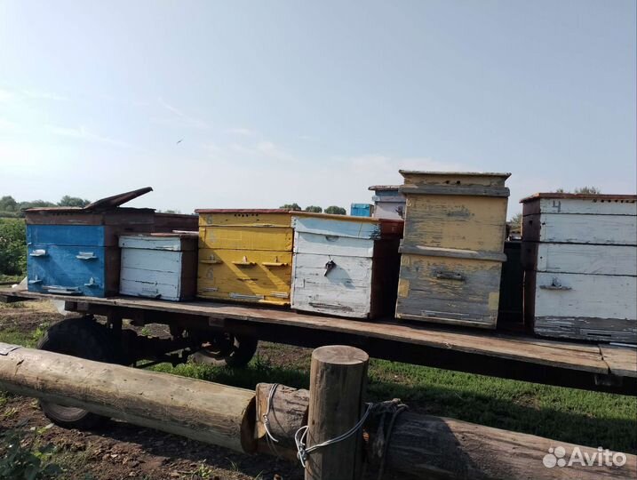 Улей для пчел бу