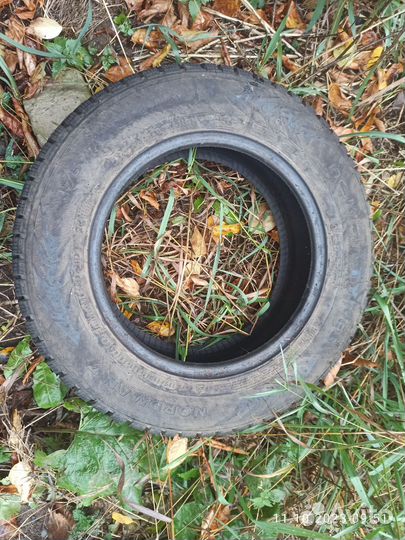 Nokian Tyres Nordman 7 175/70 R14