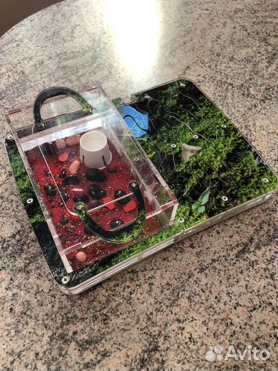 Муравьиная ферма бу