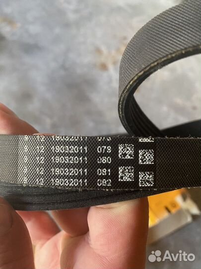 Ремень поликлиновый contitech