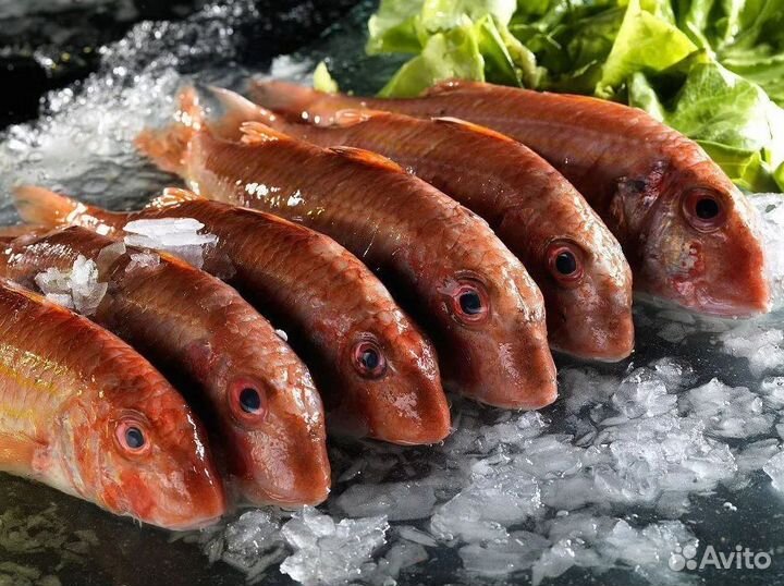 Готовый бизнес: прибыльный рыбный магазин