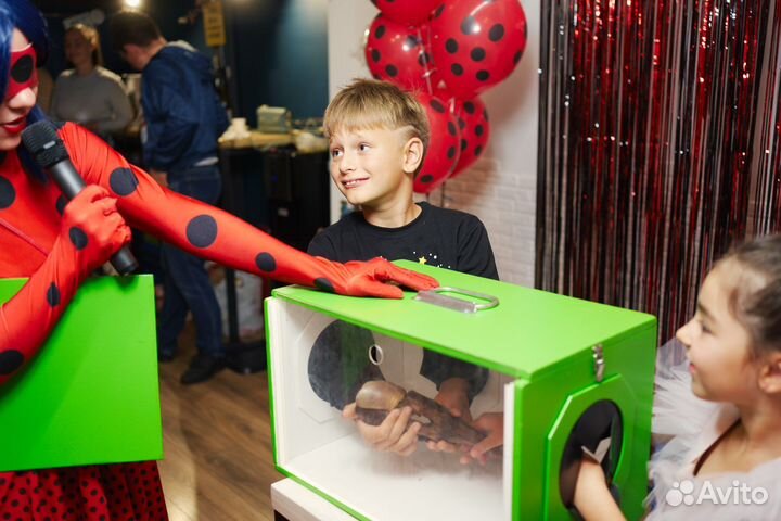 Аниматор на праздник