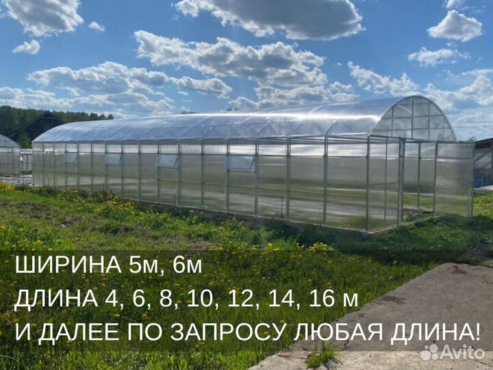 Теплица промышленная фермерская Арт П17274E