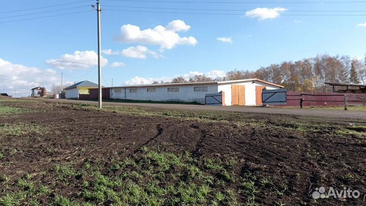 Продается конюшня (животноводческая ферма)