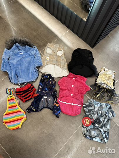 Одежда платья для собачки, новая