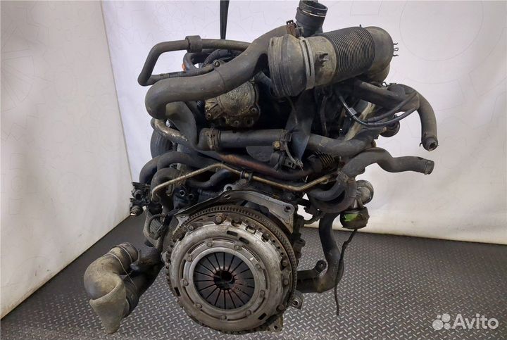 Volkswagen Jetta 5 2004-2010, 2.0, дизель, BKD