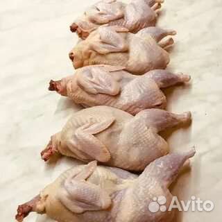 Перепела розница