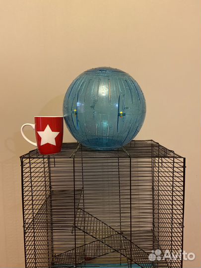 Прогулочный шар для грызунов