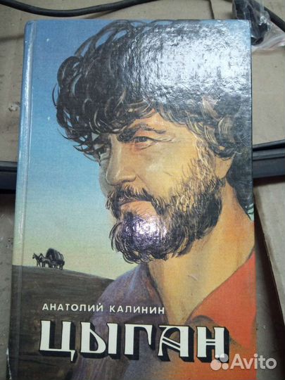Книга, роман: Цыган