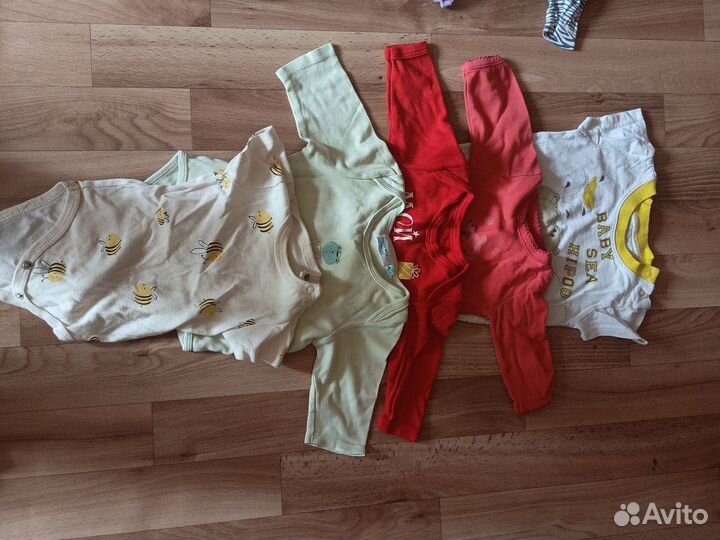 Бодики