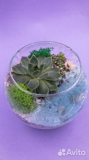Флорариум мини