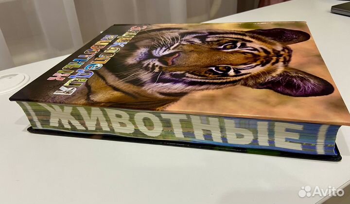 Книги Энциклопедия животных, Карты России