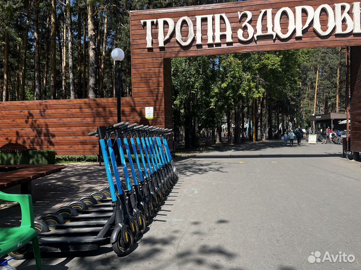 Прокат электросамокатов