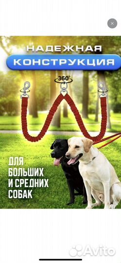 Шлейка для собаки