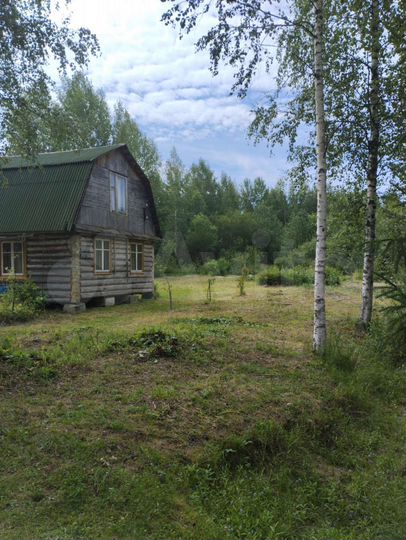 Дача 24 м² на участке 13 сот.