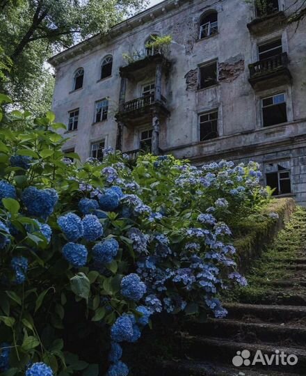 Абхазия.Города Призраки Джип-тур