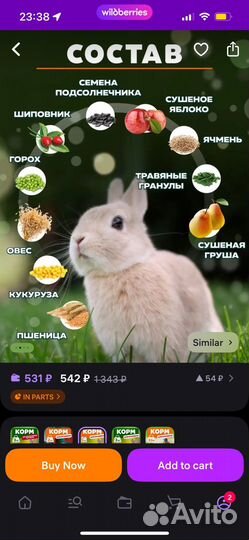 Корм для грызунов