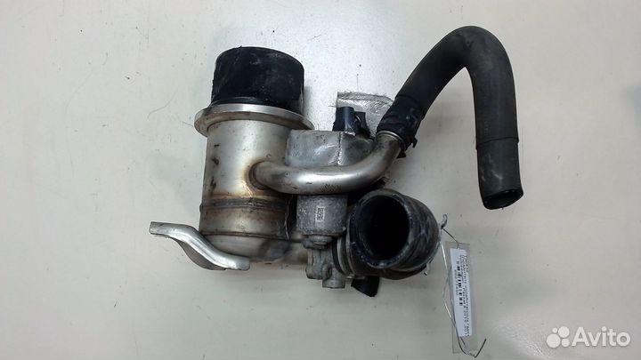 Охладитель отработанных газов Volkswagen Passat 8