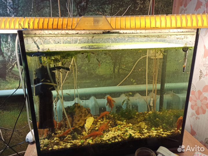 Аквариум