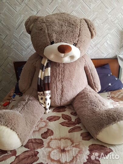 Плюшевый медведь