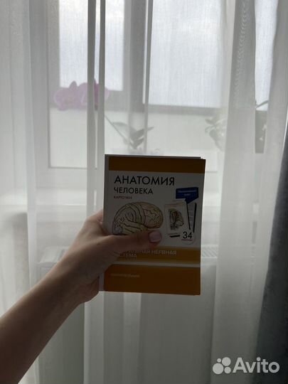 ЕГЭ методички 1 курс