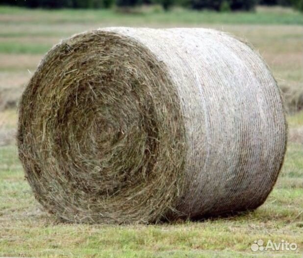 Сено в тюках