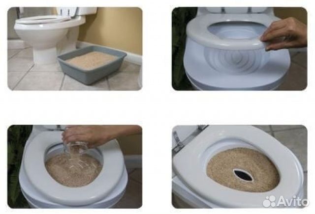 Система приучения к туалету