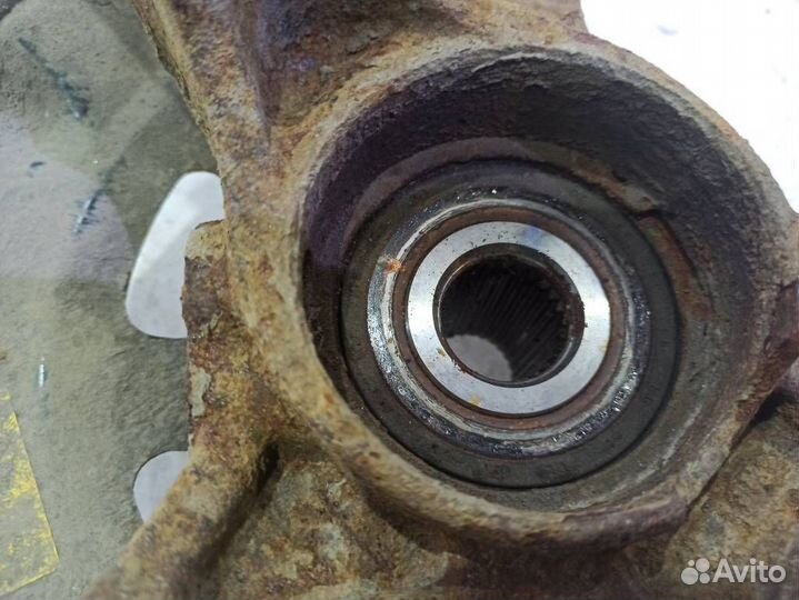 Кулак передний левый