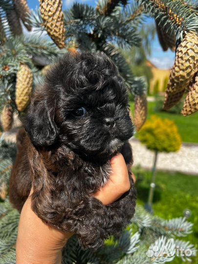 Кукольная мини Девочка