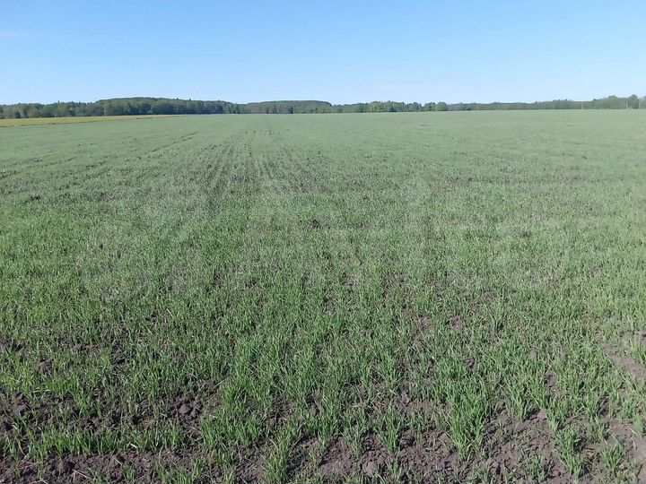 Участок 450 га (СНТ, ДНП)