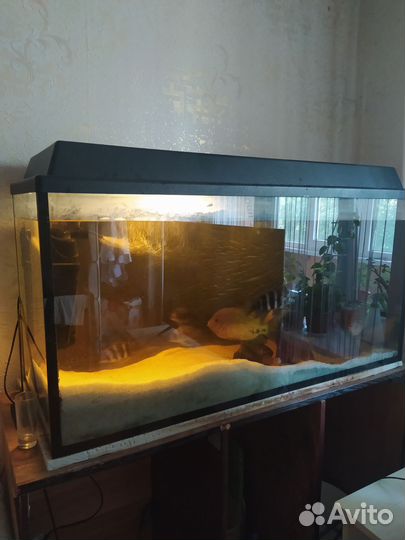 Аквариум