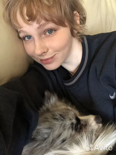 Кинолог/Выгул/Передержка/Дрессировка