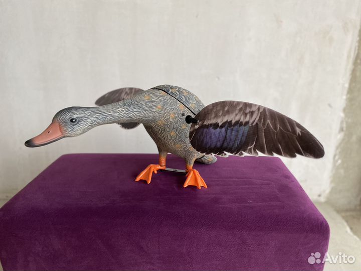 Утка махокрыл, чучело утки махокрыл, приманка