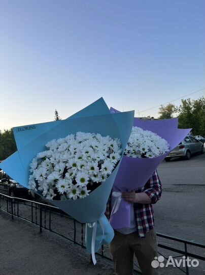 Гигант из ромашек