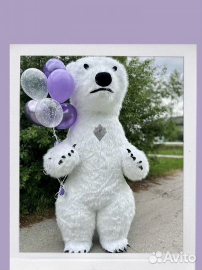Проздравление от белого мишки, аэромедведь