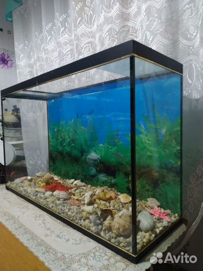 Аквариум
