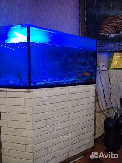 Аквариум с рыбками, с внешним фильтром