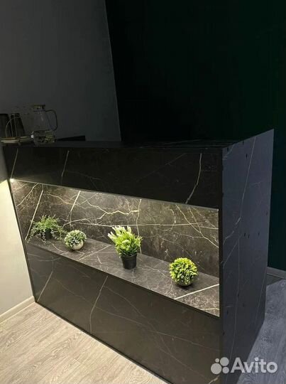 Стойка ресепшн Ботаника