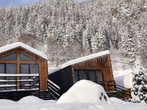 заповедный лес шерегеш. гостевой дом лесной мезмай. гостевой дом лесной. еловый байкальский тракт. гостиница лесная.