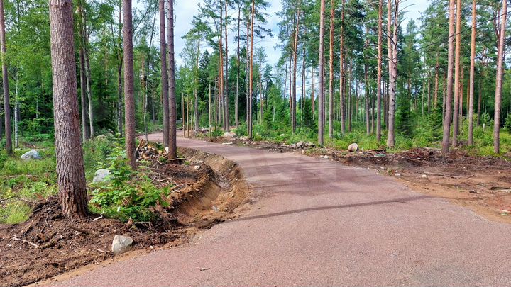 Участок 11,6 сот. (СНТ, ДНП)